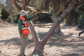 WhatsApp Image 2026-01-08 at 12.40.17 (1).jpeg